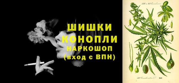 тгк Сатка