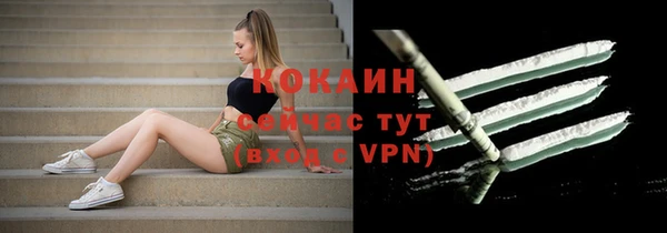 молекула духа Семилуки